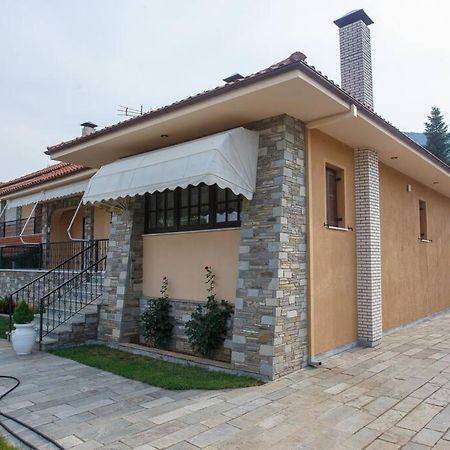 Βίλα Για Όλες Τις Εποχές Του Χρόνου Kozani Exterior foto