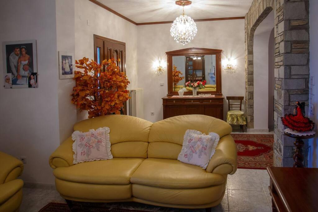 Βίλα Για Όλες Τις Εποχές Του Χρόνου Kozani Exterior foto