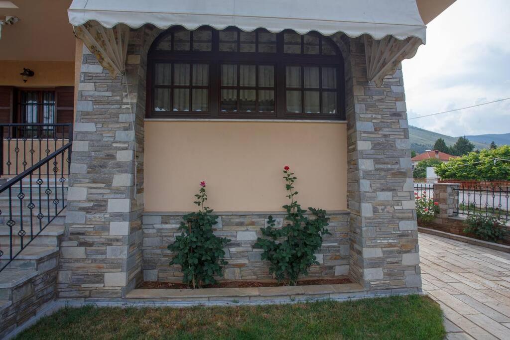 Βίλα Για Όλες Τις Εποχές Του Χρόνου Kozani Exterior foto