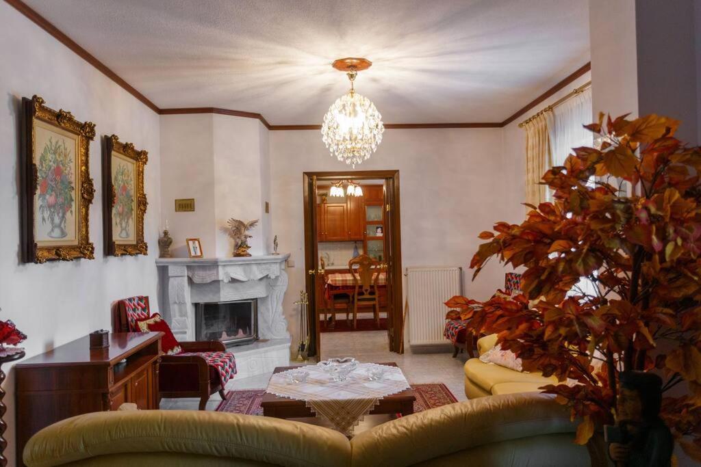Βίλα Για Όλες Τις Εποχές Του Χρόνου Kozani Exterior foto